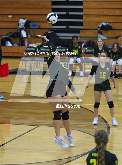Thumbnail 1 in White Oak @ Croatan photogallery.