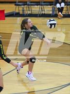 Photo from the gallery "White Oak @ Croatan"