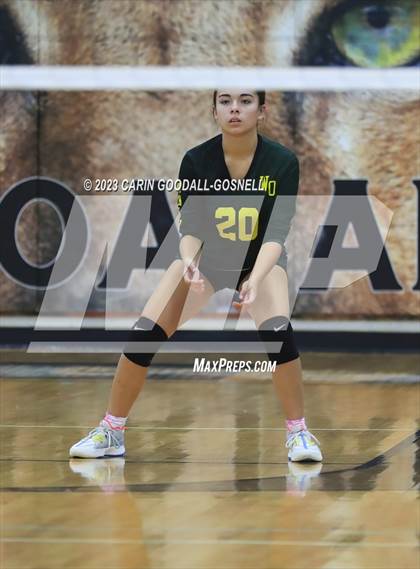 Thumbnail 3 in White Oak @ Croatan photogallery.
