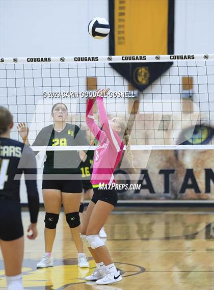 Thumbnail 2 in White Oak @ Croatan photogallery.