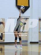 Photo from the gallery "White Oak @ Croatan"