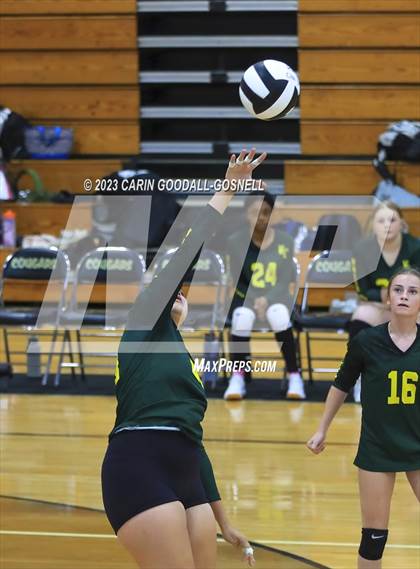 Thumbnail 2 in White Oak @ Croatan photogallery.