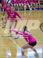 Photo from the gallery "White Oak @ Croatan"