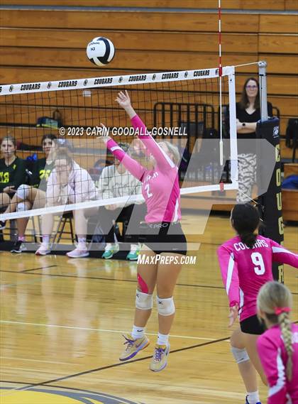Thumbnail 2 in White Oak @ Croatan photogallery.