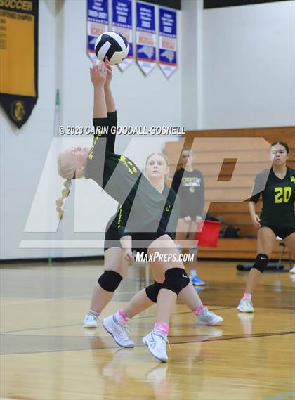 Thumbnail 1 in White Oak @ Croatan photogallery.