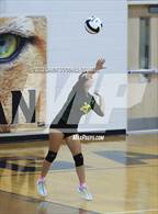 Photo from the gallery "White Oak @ Croatan"