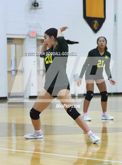 Thumbnail 1 in White Oak @ Croatan photogallery.