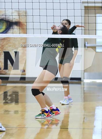 Thumbnail 1 in White Oak @ Croatan photogallery.