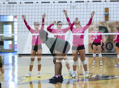 Thumbnail 2 in White Oak @ Croatan photogallery.