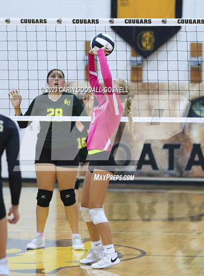 Thumbnail 3 in White Oak @ Croatan photogallery.
