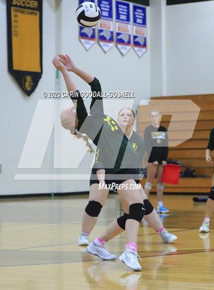 Thumbnail 1 in White Oak @ Croatan photogallery.