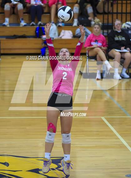 Thumbnail 1 in White Oak @ Croatan photogallery.