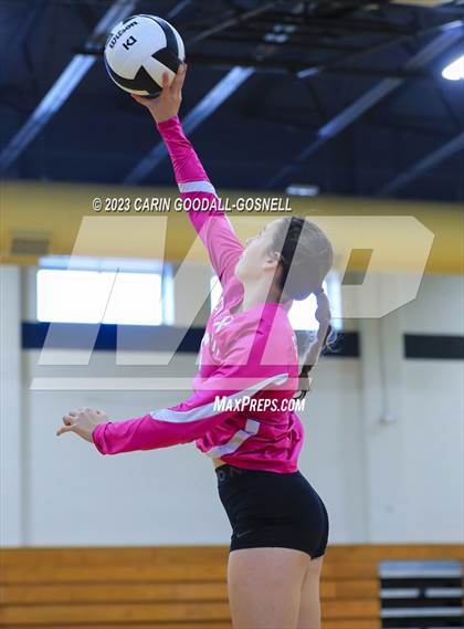 Thumbnail 2 in White Oak @ Croatan photogallery.