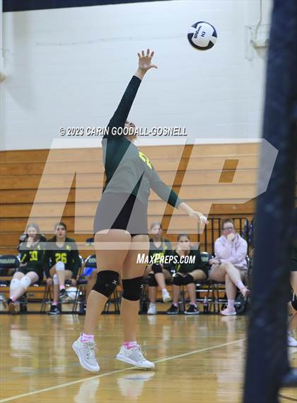 Thumbnail 1 in White Oak @ Croatan photogallery.