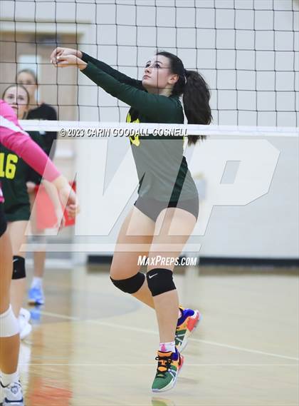 Thumbnail 2 in White Oak @ Croatan photogallery.