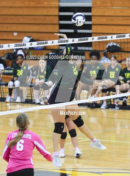 Thumbnail 3 in White Oak @ Croatan photogallery.
