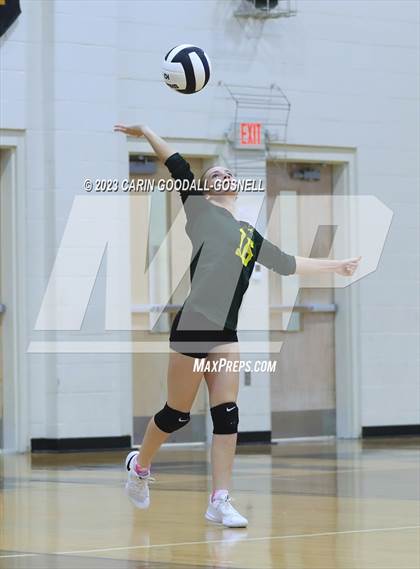 Thumbnail 1 in White Oak @ Croatan photogallery.