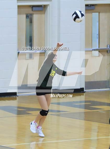 Thumbnail 2 in White Oak @ Croatan photogallery.