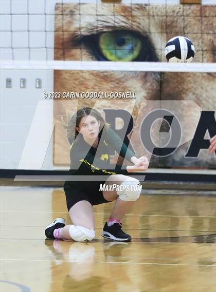 Thumbnail 2 in White Oak @ Croatan photogallery.