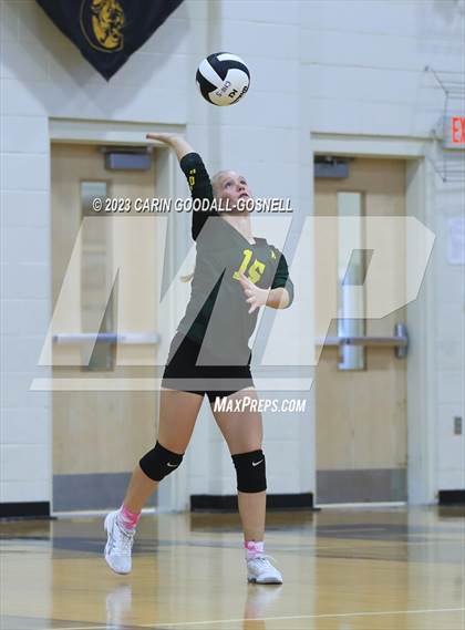 Thumbnail 2 in White Oak @ Croatan photogallery.