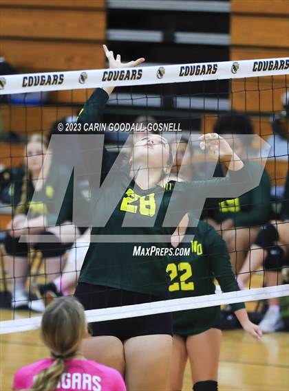 Thumbnail 3 in White Oak @ Croatan photogallery.