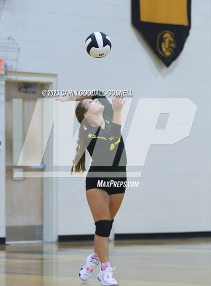 Thumbnail 2 in White Oak @ Croatan photogallery.