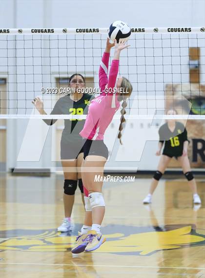 Thumbnail 1 in White Oak @ Croatan photogallery.