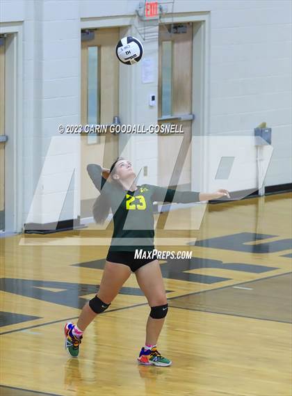 Thumbnail 2 in White Oak @ Croatan photogallery.