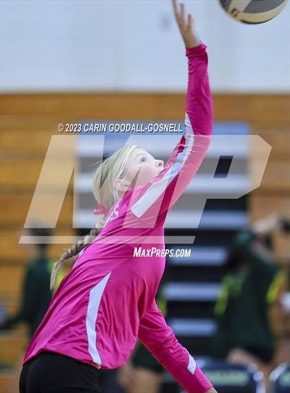 Thumbnail 3 in White Oak @ Croatan photogallery.