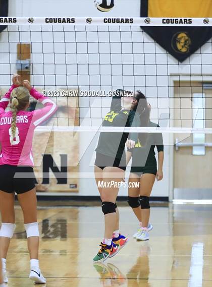 Thumbnail 3 in White Oak @ Croatan photogallery.