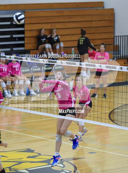 Thumbnail 2 in White Oak @ Croatan photogallery.