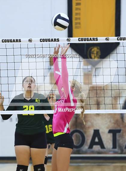 Thumbnail 1 in White Oak @ Croatan photogallery.