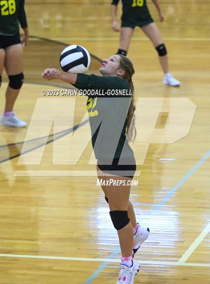 Thumbnail 2 in White Oak @ Croatan photogallery.
