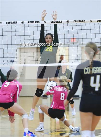 Thumbnail 3 in White Oak @ Croatan photogallery.