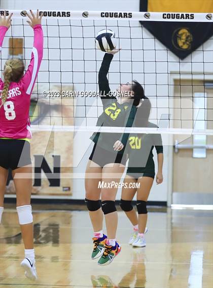 Thumbnail 1 in White Oak @ Croatan photogallery.