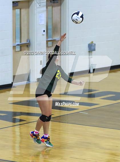 Thumbnail 2 in White Oak @ Croatan photogallery.