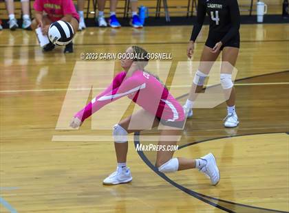 Thumbnail 1 in White Oak @ Croatan photogallery.