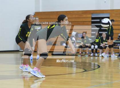Thumbnail 2 in White Oak @ Croatan photogallery.