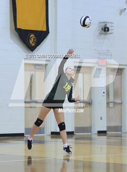 Thumbnail 3 in White Oak @ Croatan photogallery.