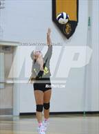 Photo from the gallery "White Oak @ Croatan"