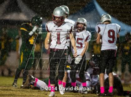 Thumbnail 2 in Bear River @ Placer photogallery.