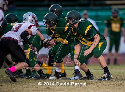 Thumbnail 3 in Bear River @ Placer photogallery.