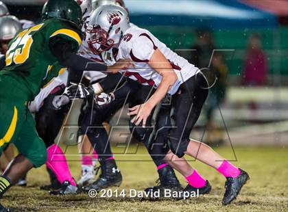 Thumbnail 2 in Bear River @ Placer photogallery.
