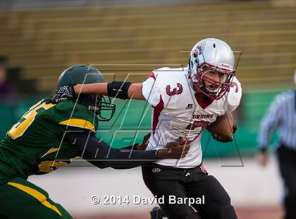 Thumbnail 1 in Bear River @ Placer photogallery.