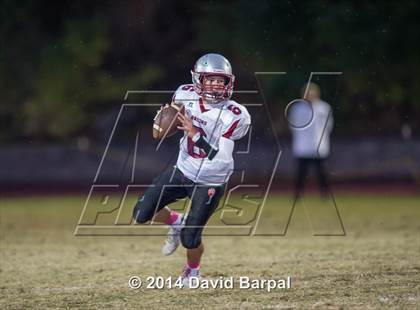 Thumbnail 3 in Bear River @ Placer photogallery.