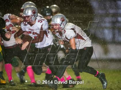 Thumbnail 2 in Bear River @ Placer photogallery.