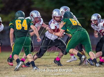 Thumbnail 3 in Bear River @ Placer photogallery.