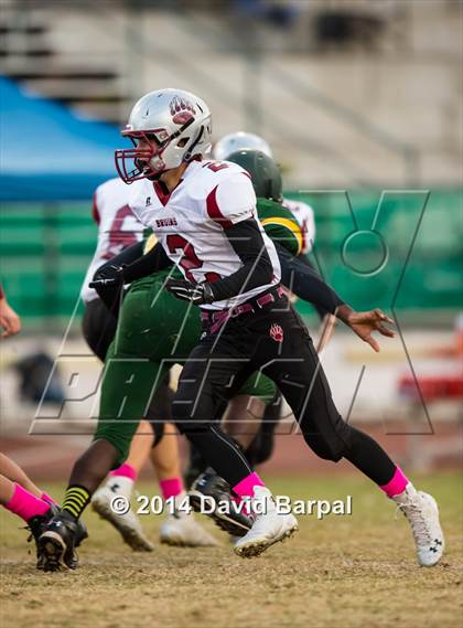 Thumbnail 2 in Bear River @ Placer photogallery.