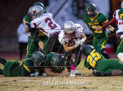 Thumbnail 1 in Bear River @ Placer photogallery.