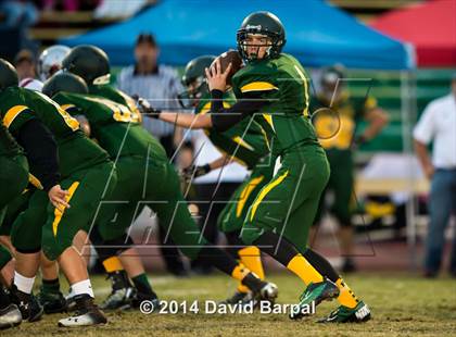 Thumbnail 2 in Bear River @ Placer photogallery.